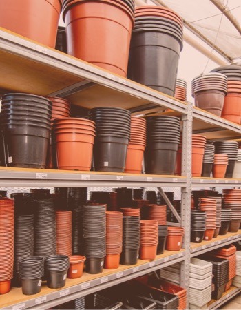 Vasos